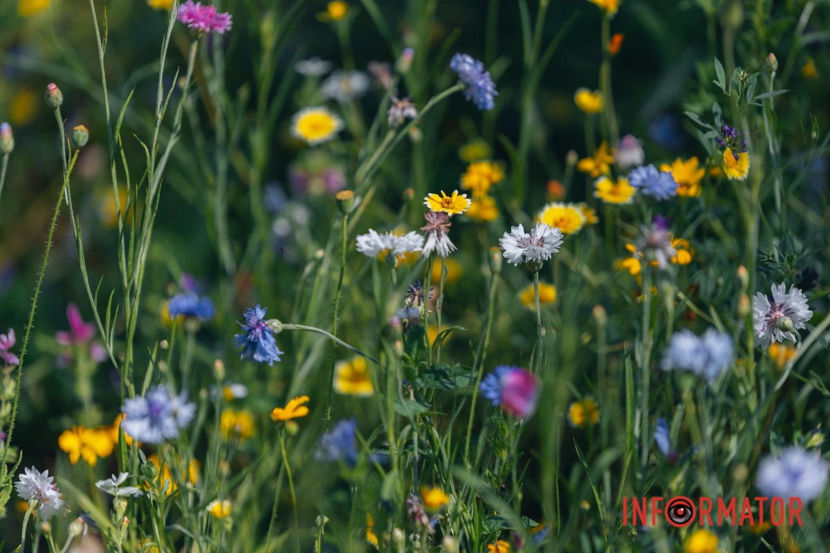 Можна "залипнути"