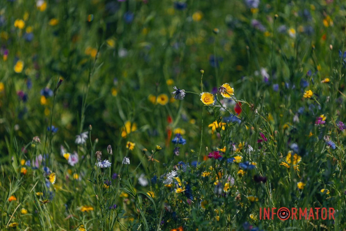 Наші оператори стараються для вас
