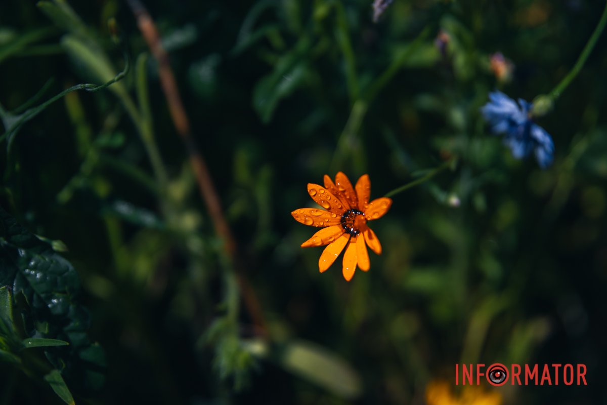 Прогулянка на свіжому повітрі підбадьорює