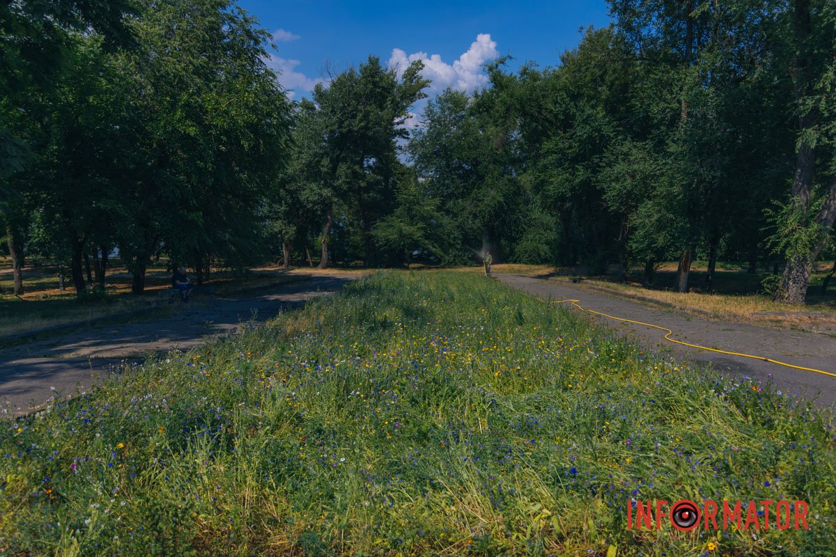 Такі місця заспокоюють