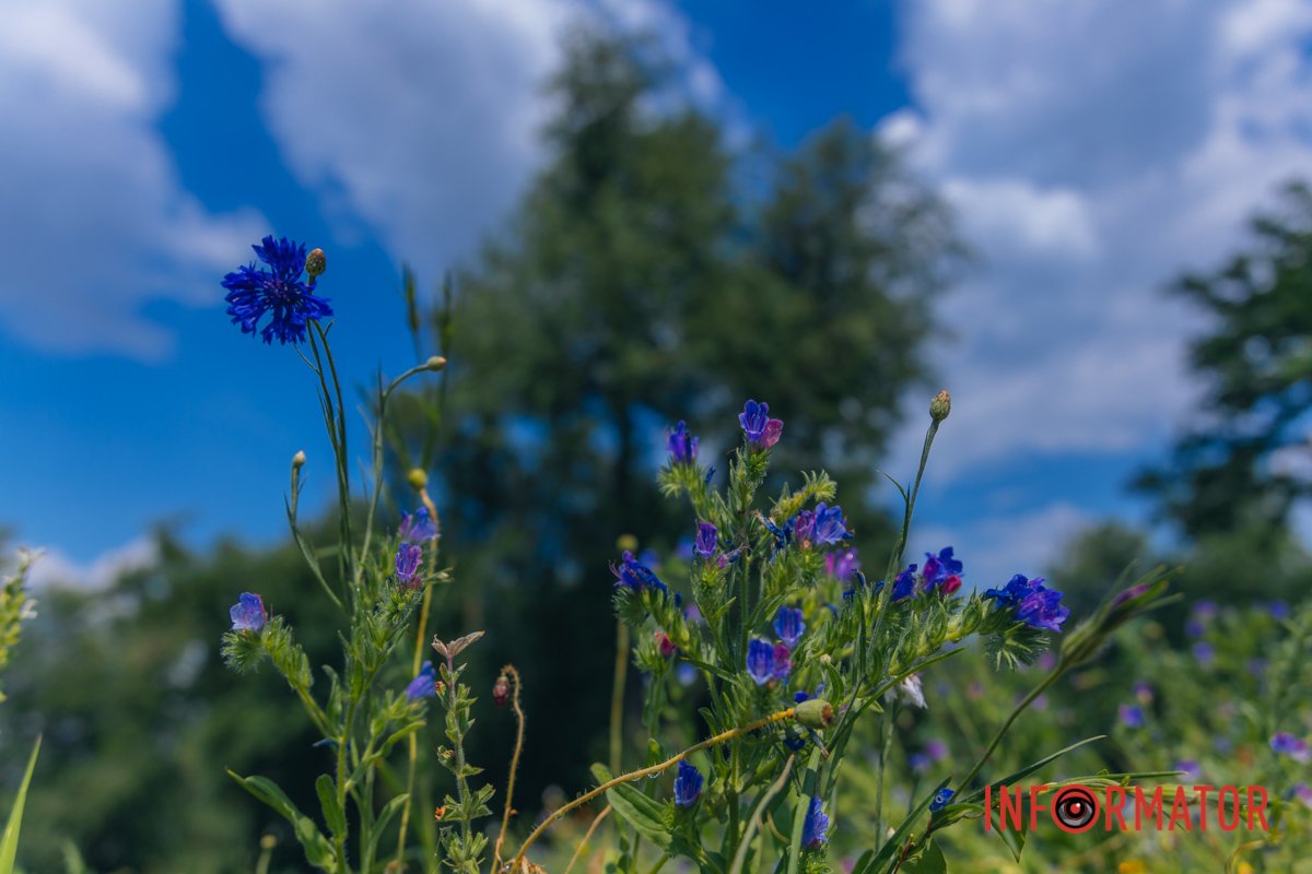 У парку імені Богдана Хмельницького