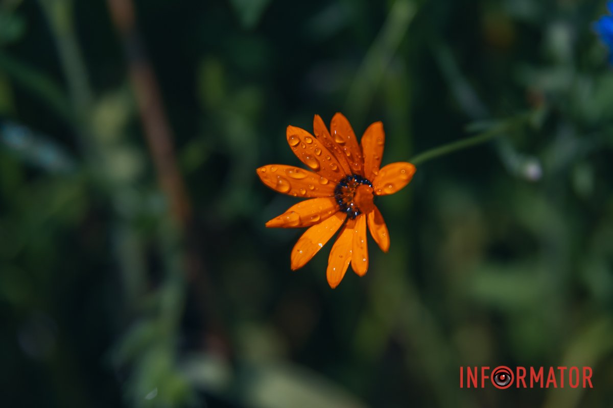 Неймовірно