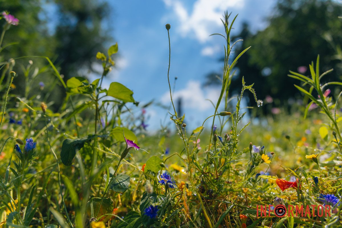 Як інший всесвіт