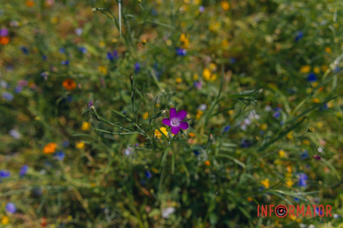 Ще трошки фото