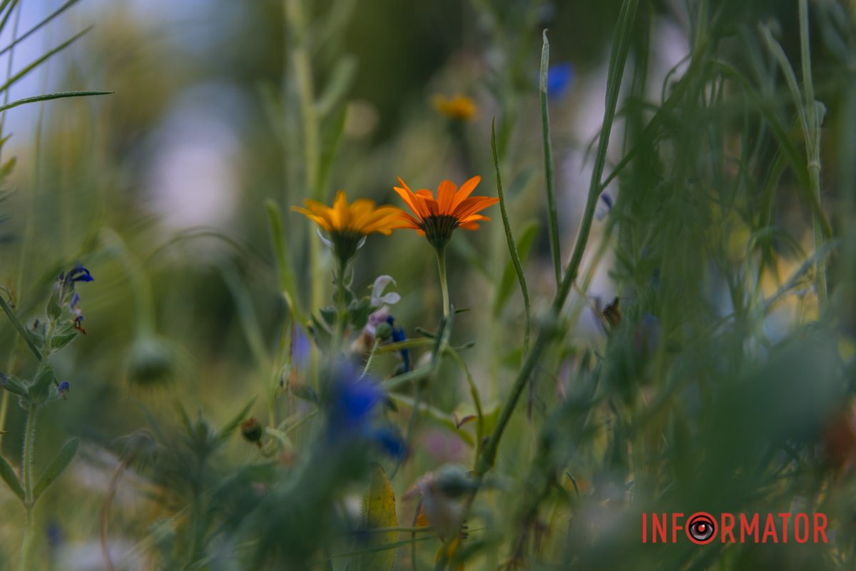 І скажіть, що не гарно?