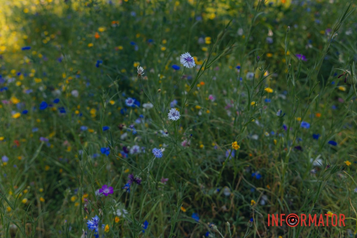 Життя не зупиняється