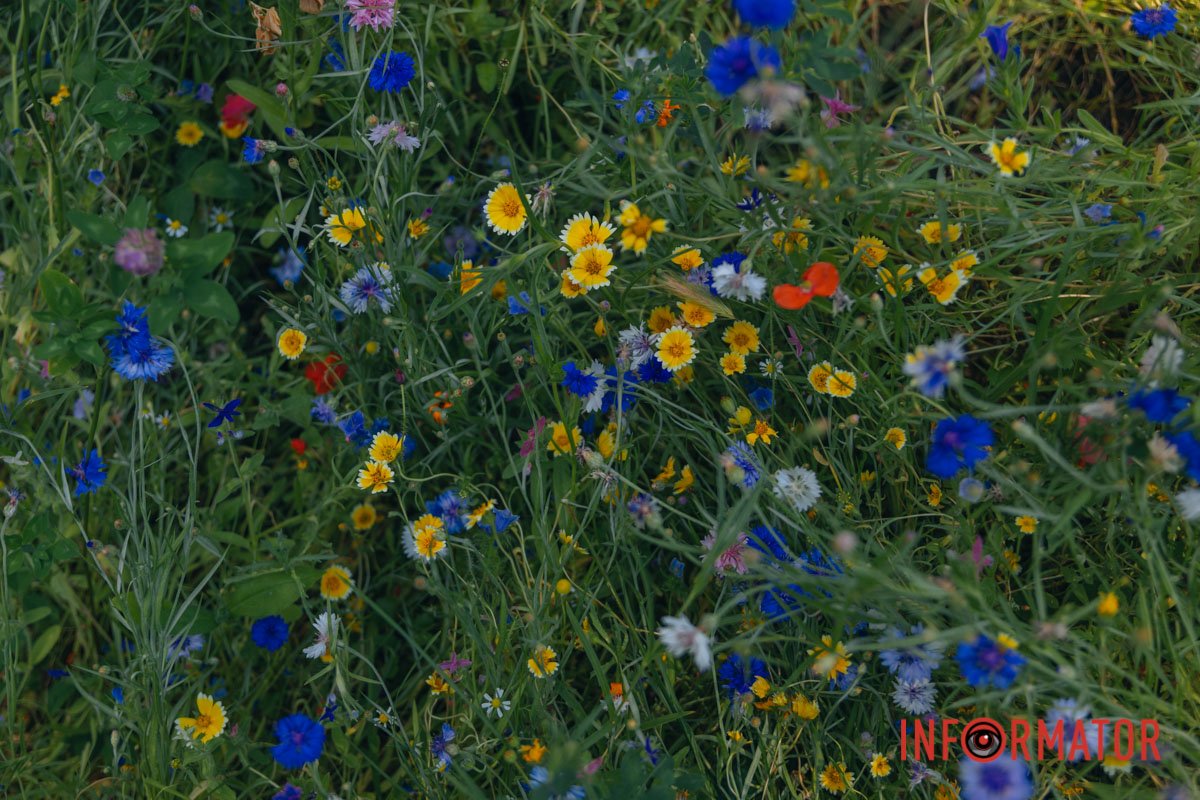 Задоволення