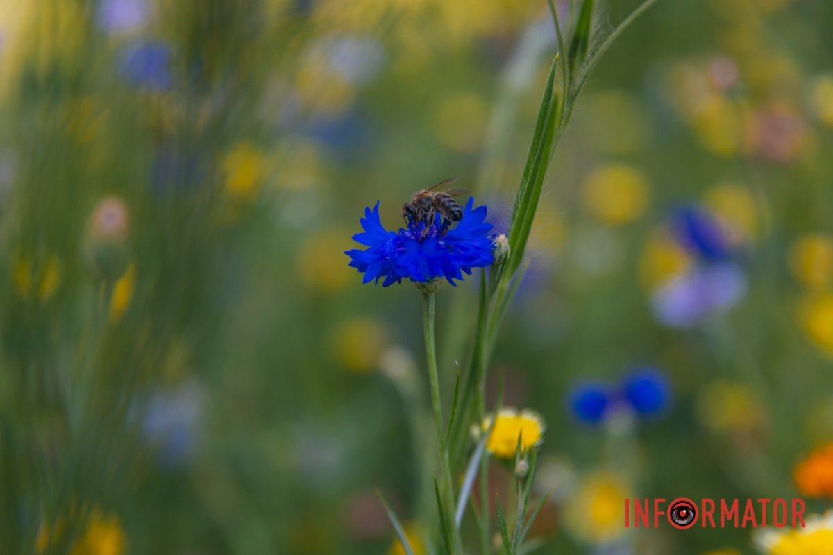 Важливо цінувати кожен момент
