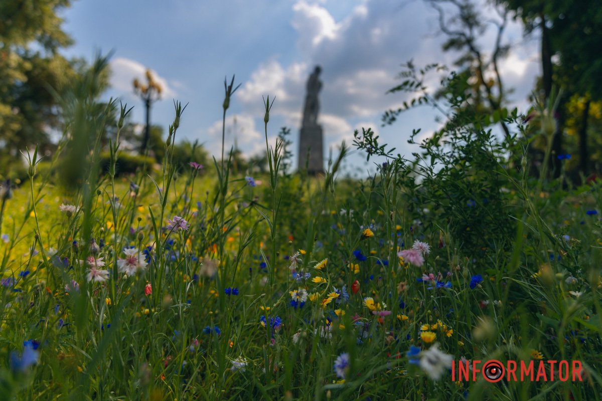 Дніпровське небо