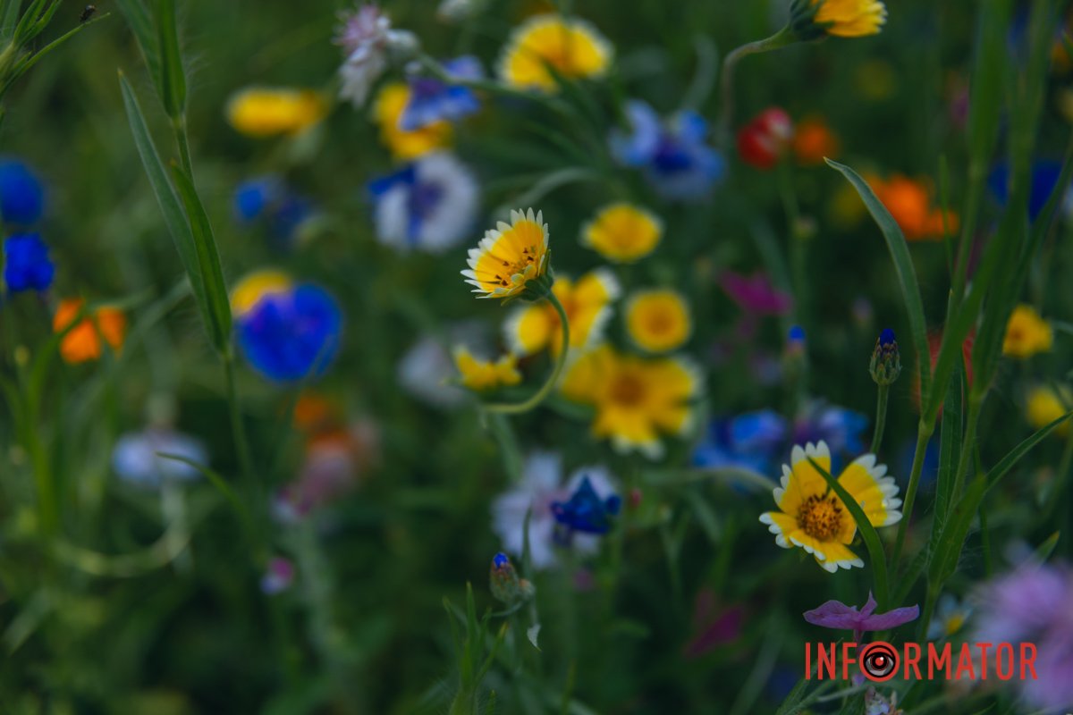 Пам'ятаємо про наших воїнів, які боронять українські міста