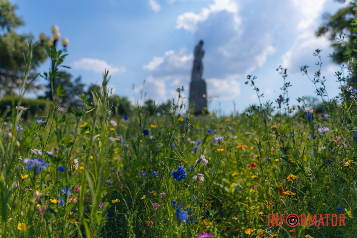 Чудовий кадр