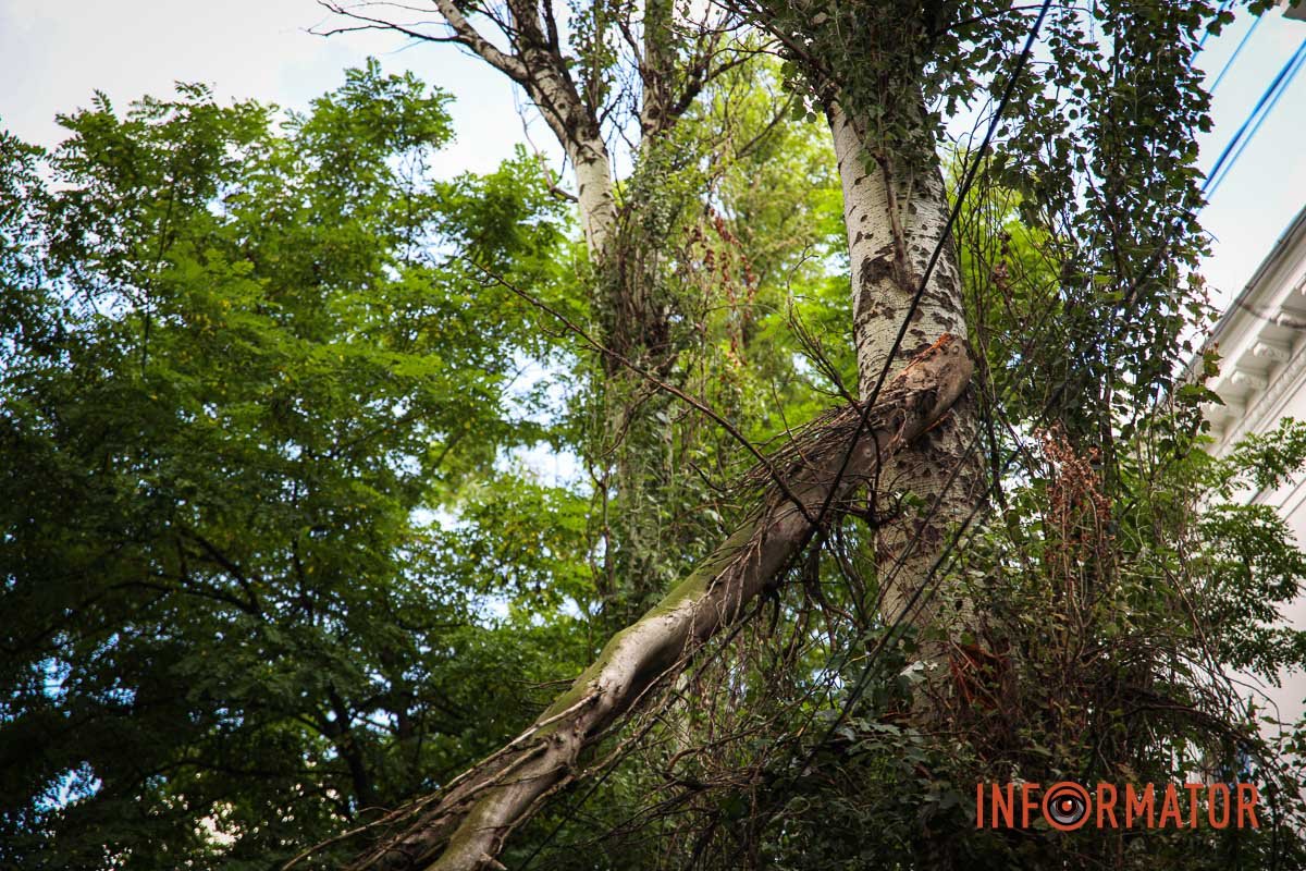 Будьте обережні в цьому місці Будьте обережні в цьому місці