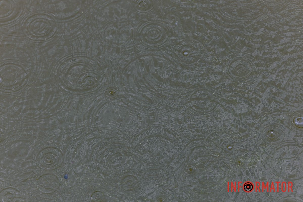 Шукайте прекрасне в дрібницях 