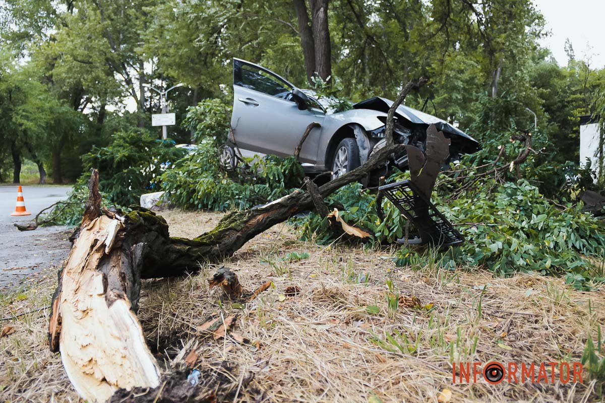 Рух на місці неускладнений Рух на місці неускладнений
