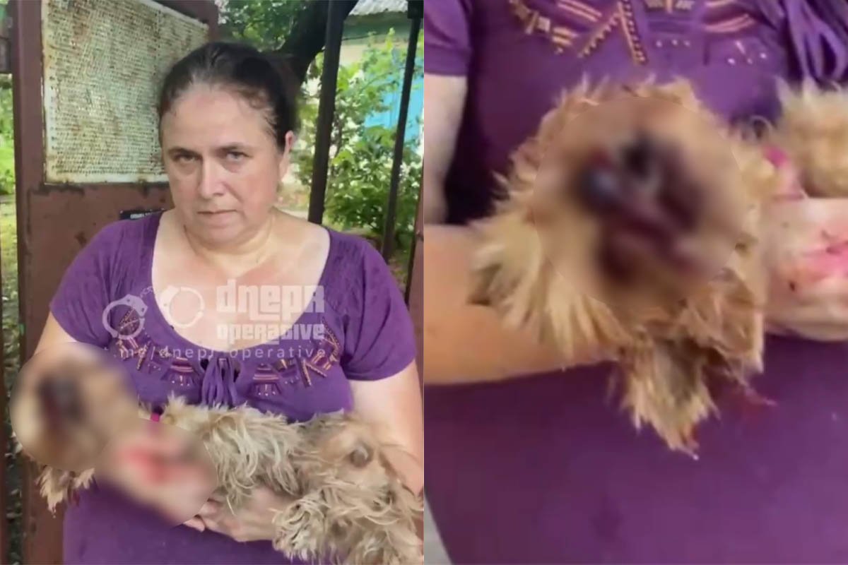 В Подгороднем на улице Колхозная большая собака разорвала малыша