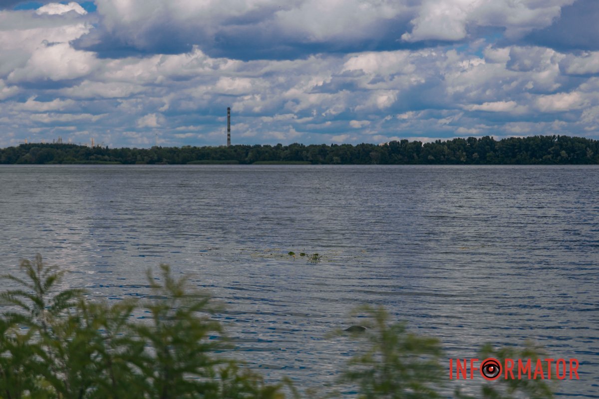 Вони різних форм