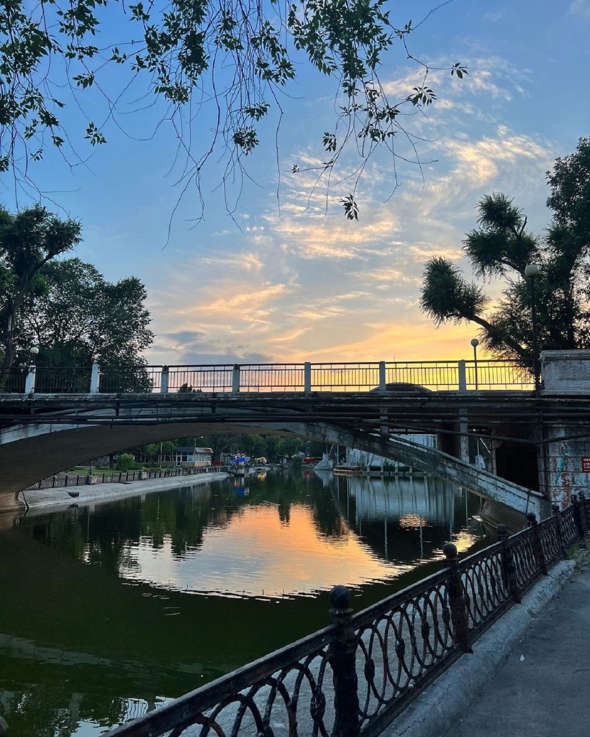 Фото: @vlkvlera Фото: @vlkvlera