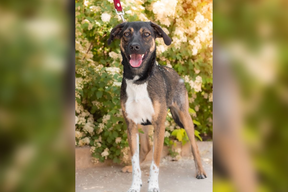 Лизочка Лизочка