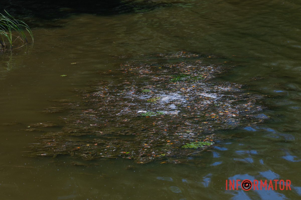 Ось така картина