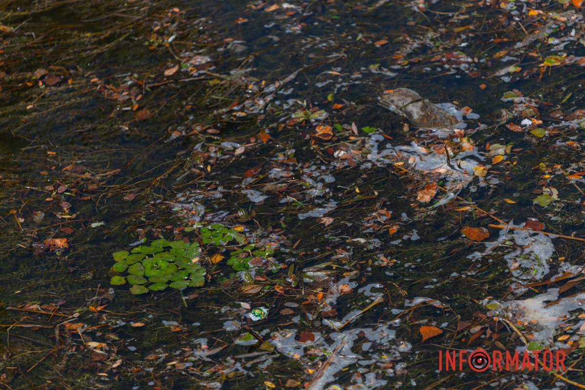 Ще трохи фото