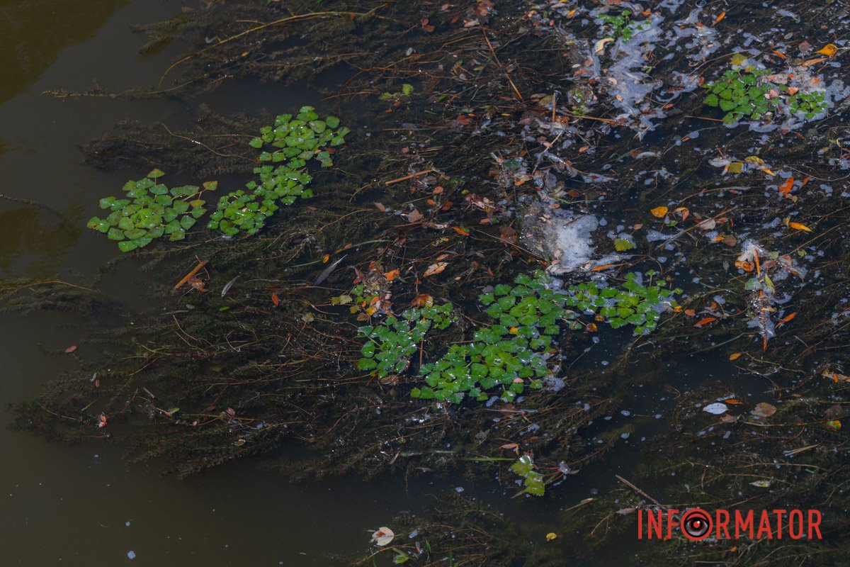 Автор фото - Денис Чубченко