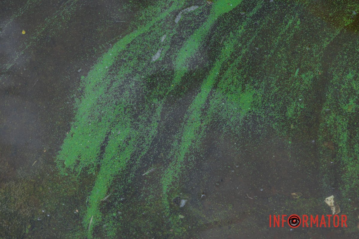 Візерунки на воді