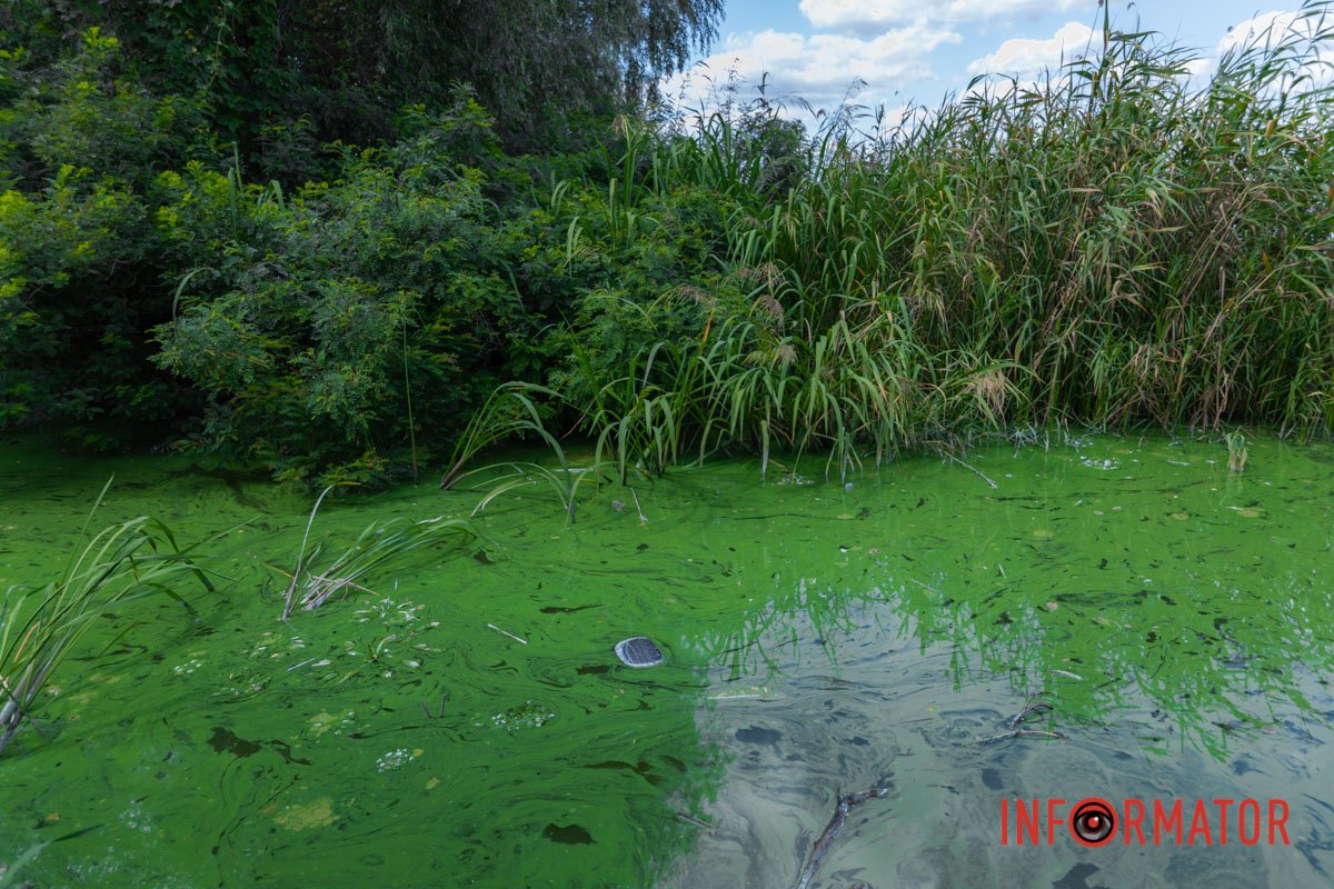 Бережіть природу