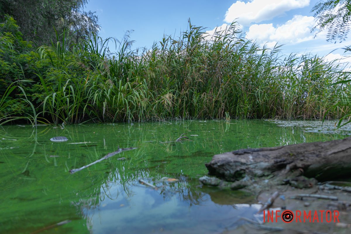 Покинута територія