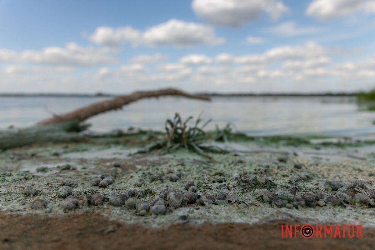 Неприємна картина