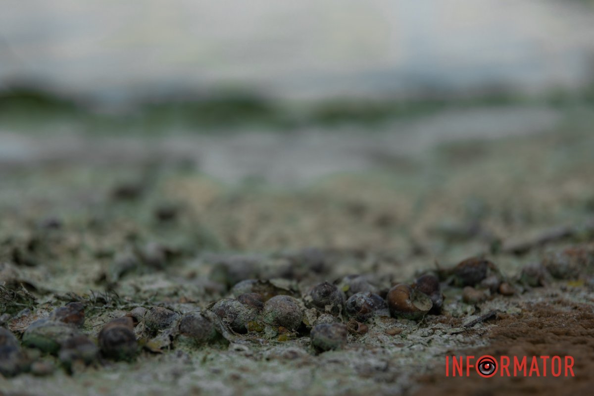 Літня спека та небезпека