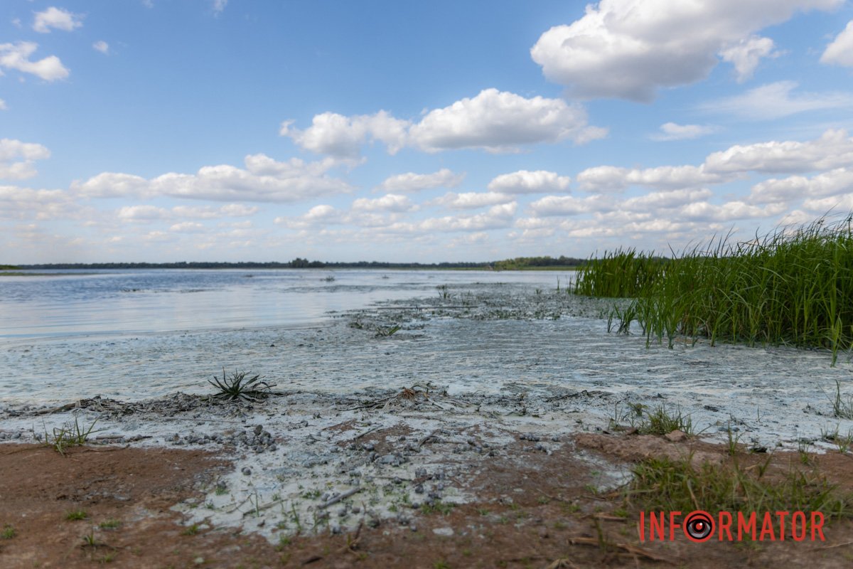 Потрібно піклуватись про природу