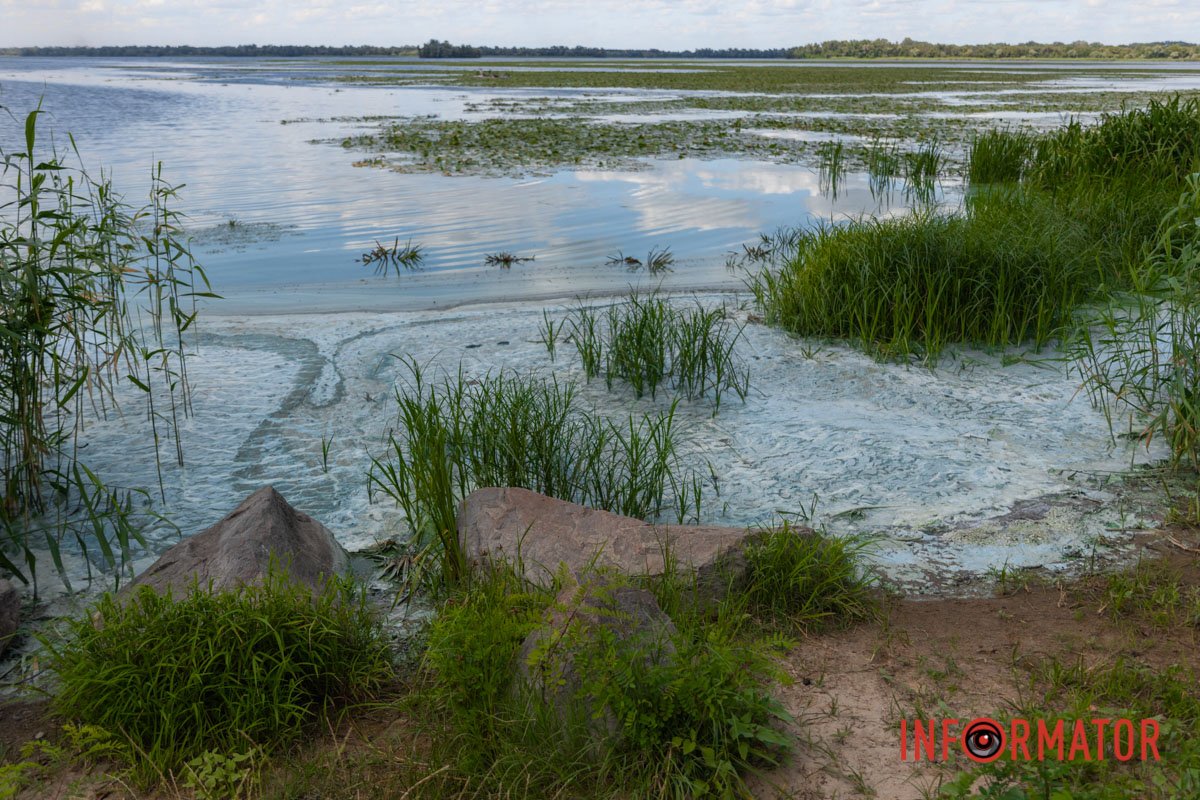 Купатись заборонено