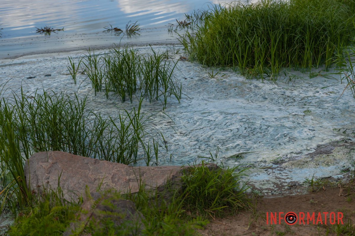 Кожного літа така картина