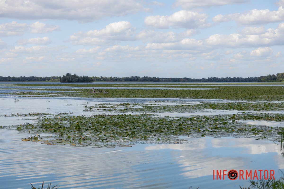 Щось є у цьому фото