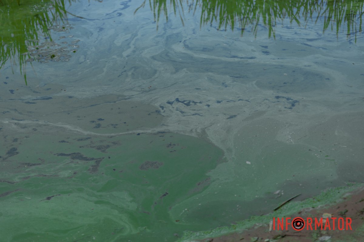 Запах відповідний 