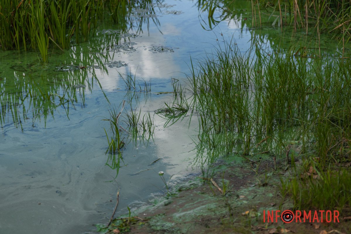 Це не єдина проблема дніпровських водойм