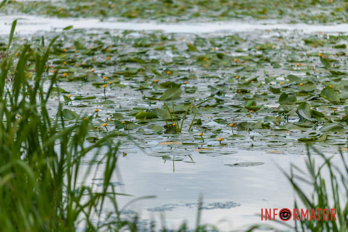 Речовини можуть викликати алергічні реакції