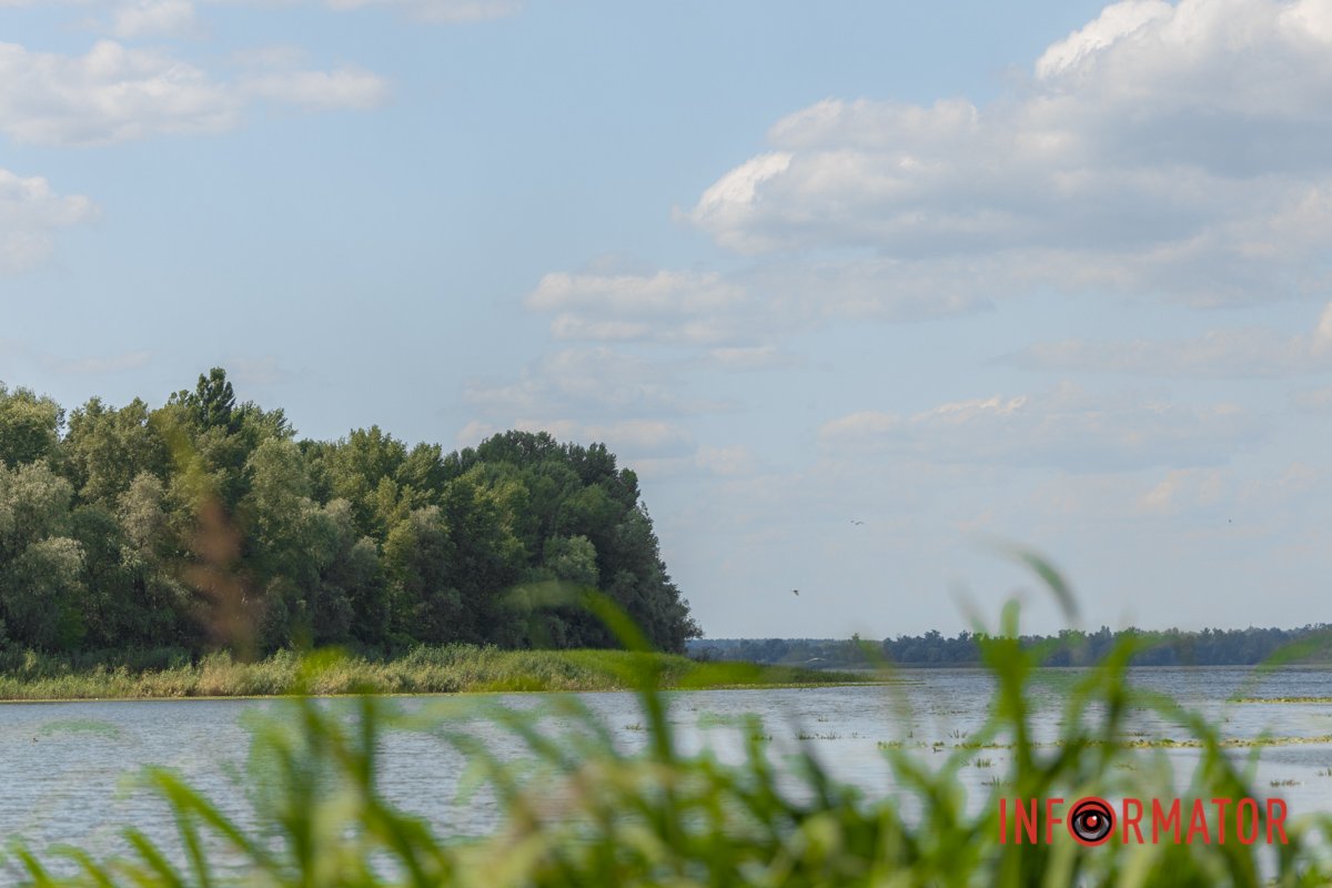  Ці речовини можуть бути токсичними для людини