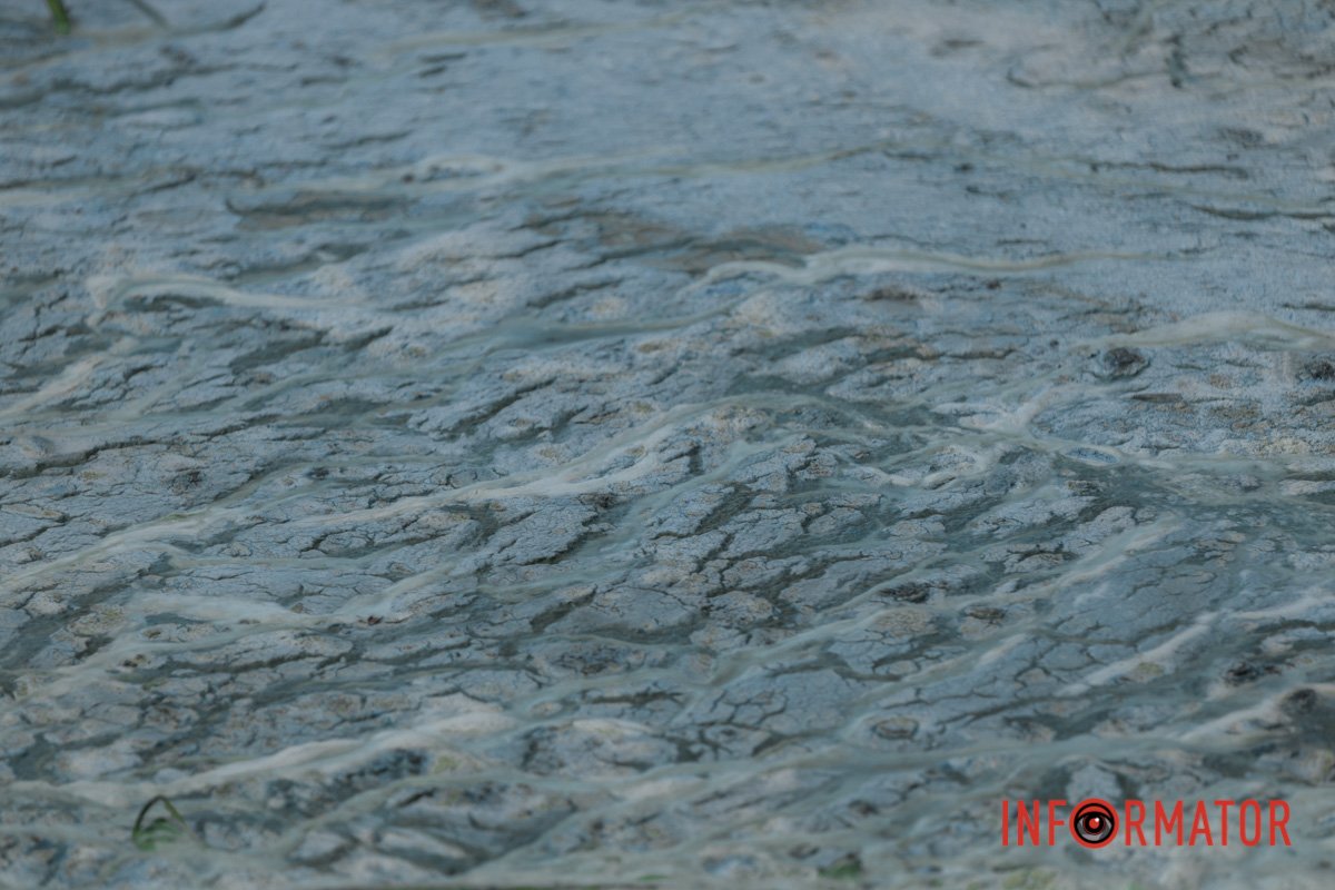 В деяких місцях на поверхні води та березі з'явилася піна