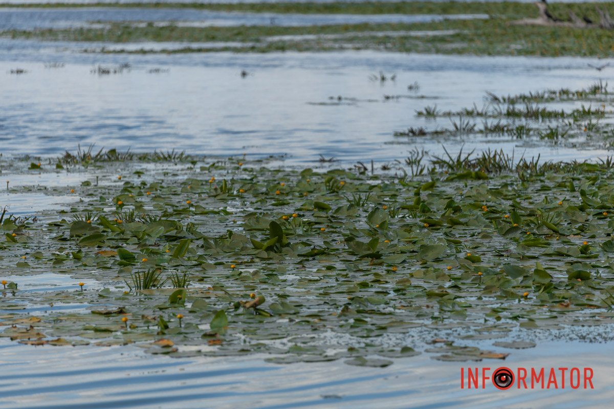 Також на косі на Перемозі