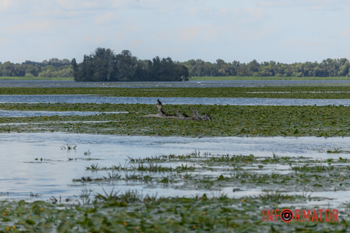 Таку картину можна побачити на кар'єрі на Червоному камені
