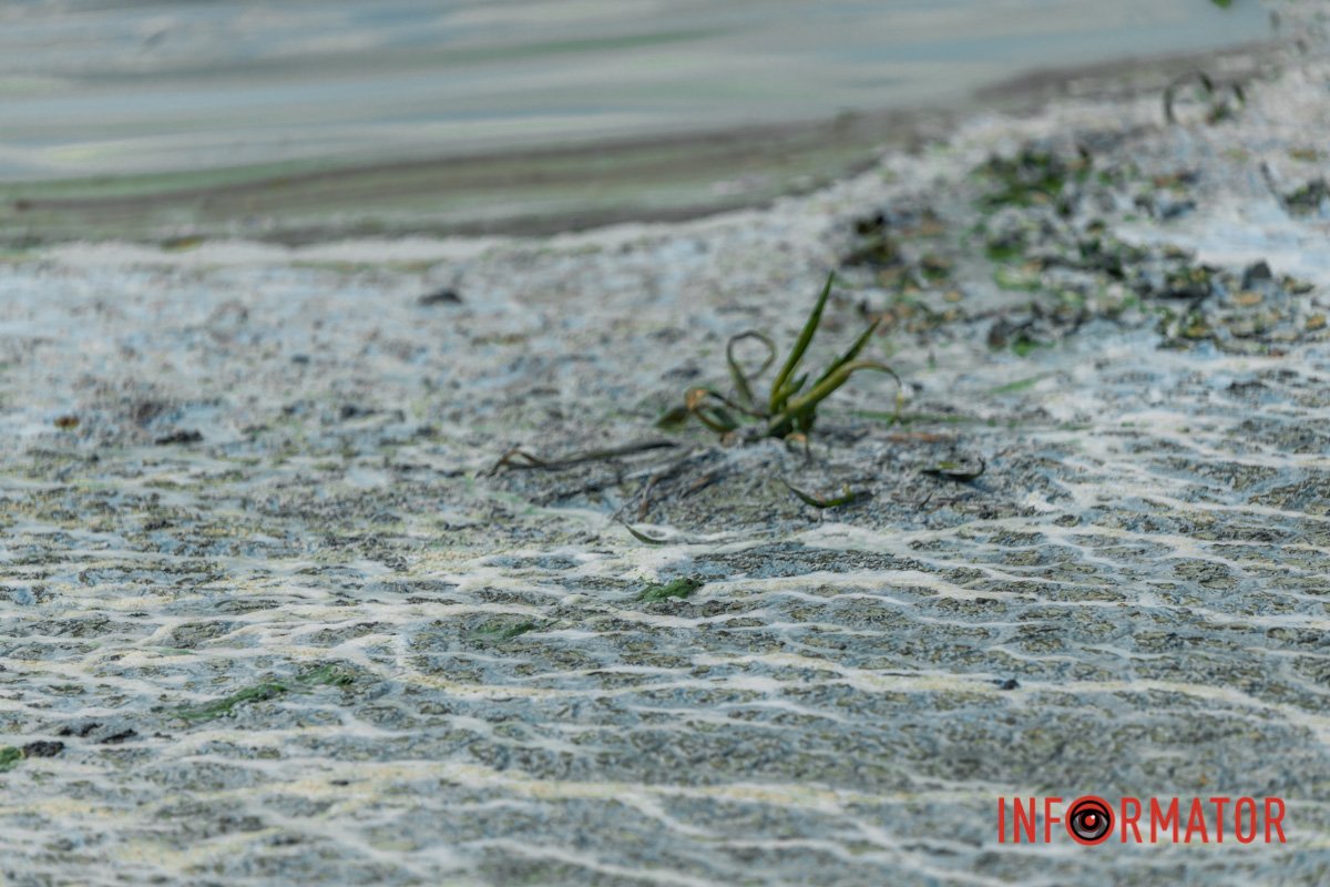 Поруч з ними - сморід