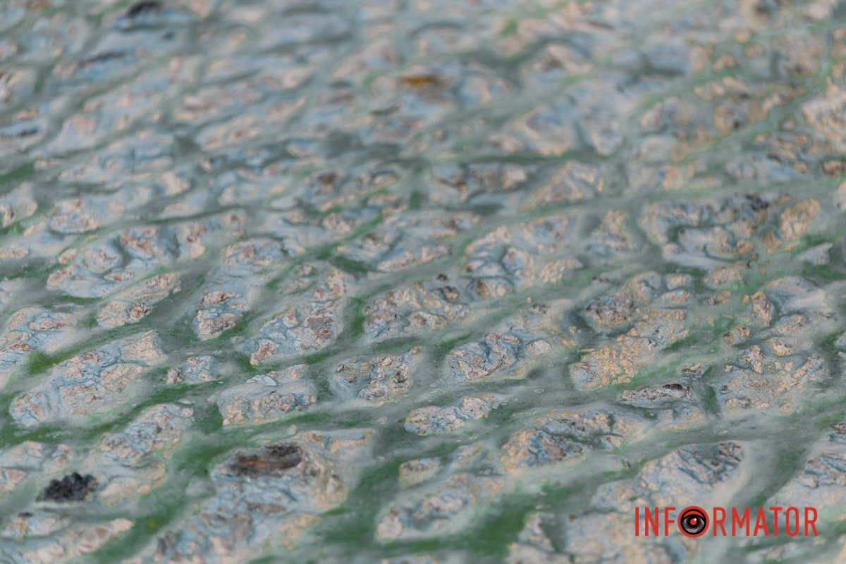 У Дніпрі “цвітуть” водойми 