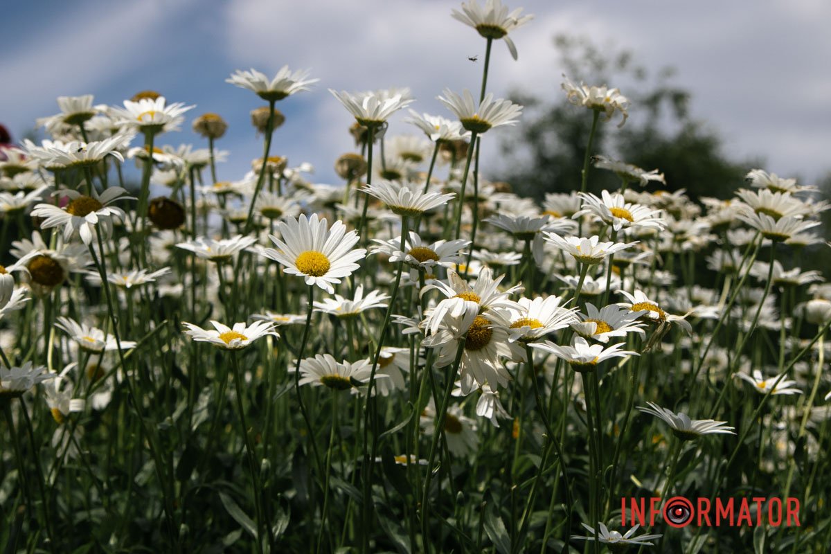 Дуже гарно Дуже гарно