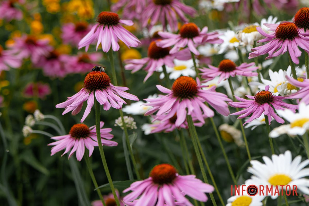 Наші оператори стараються для вас Наші оператори стараються для вас