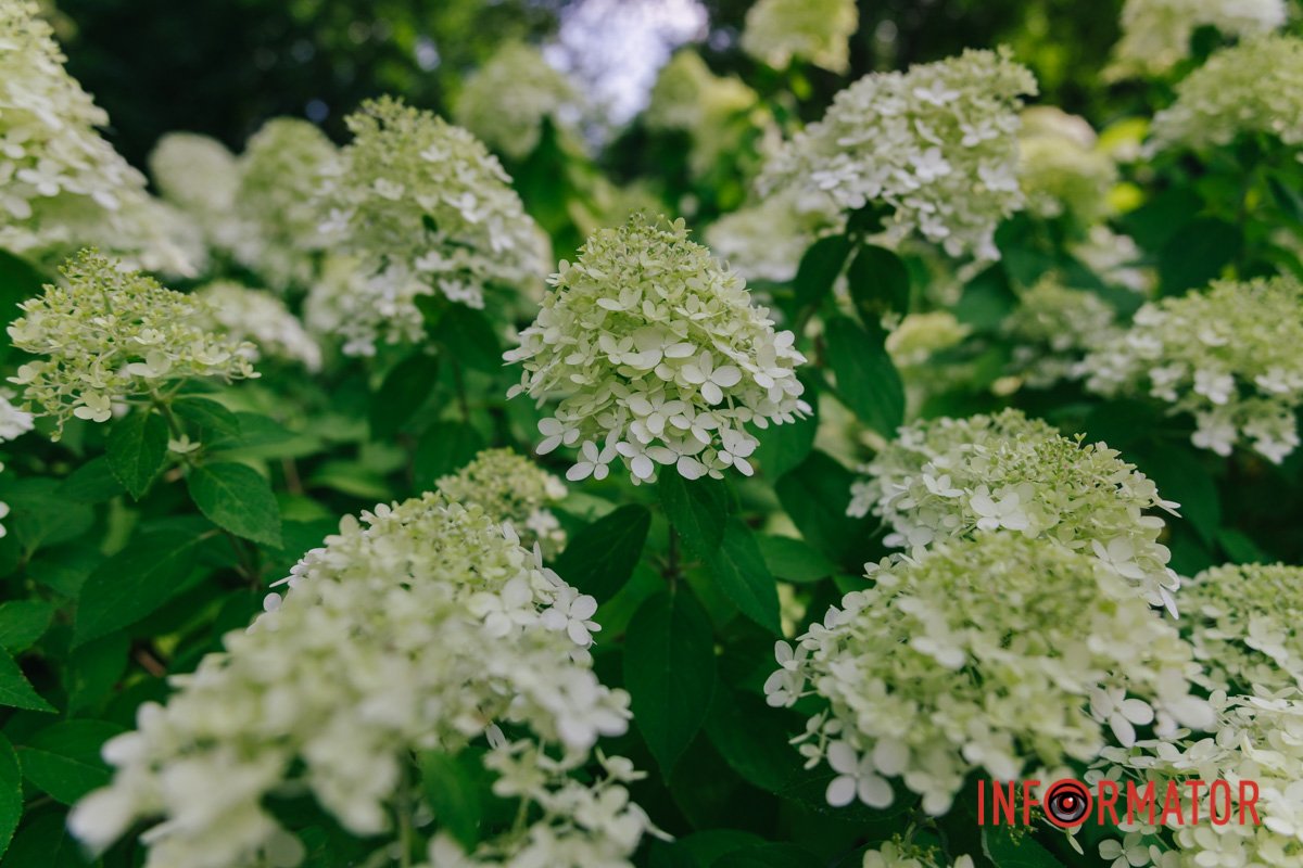 Ви знаєте, в кого найкращі кадри