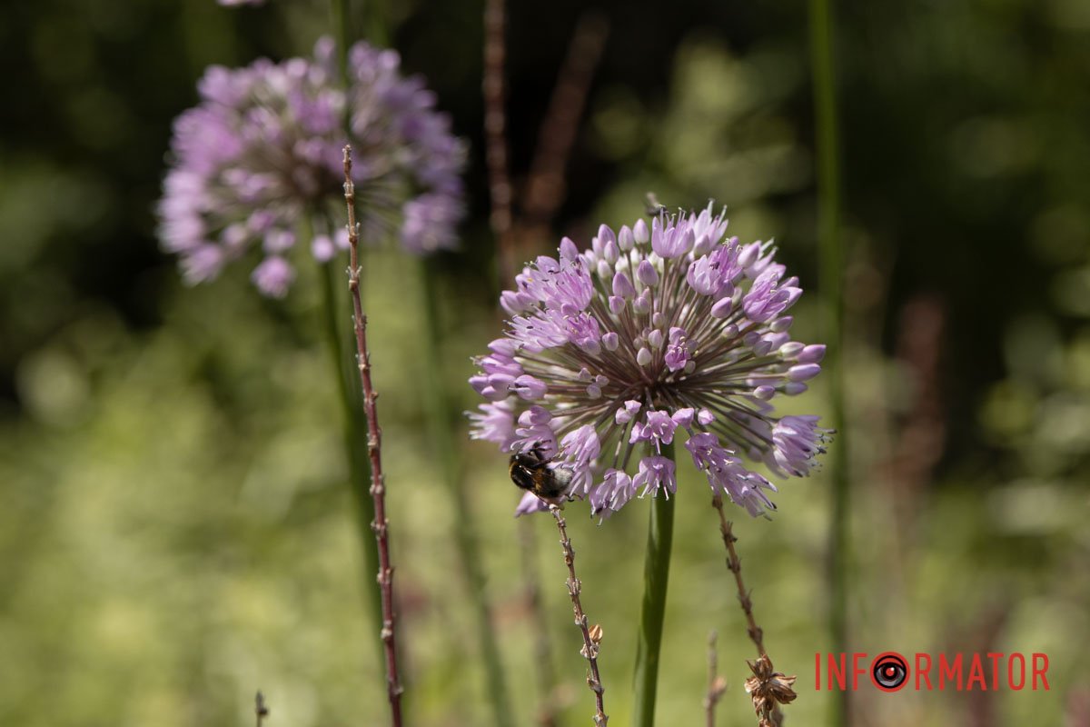 Дніпро вражає Дніпро вражає