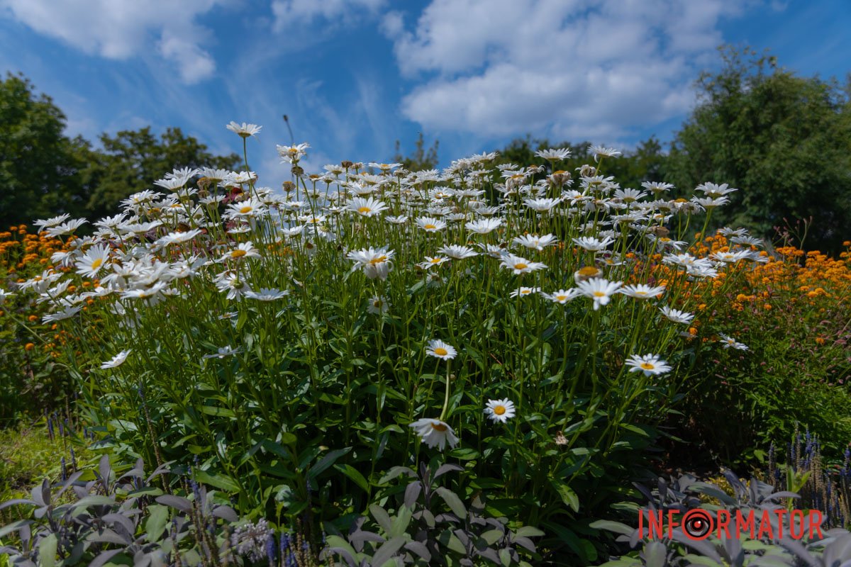 Чарівне місто
