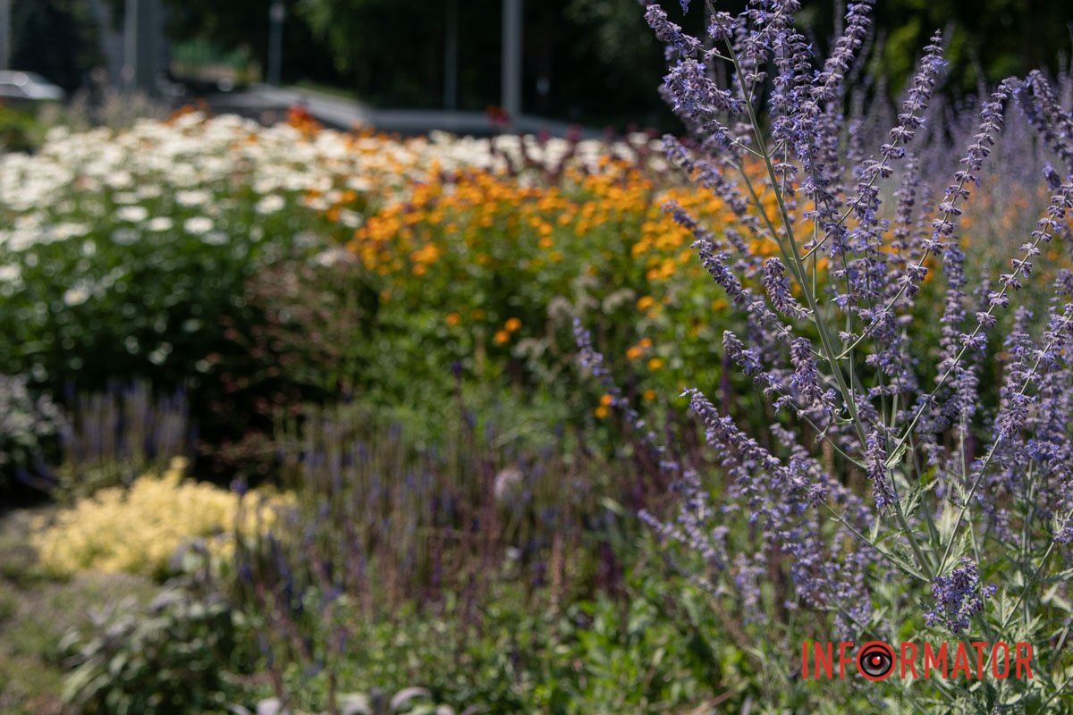 Життя триває Життя триває
