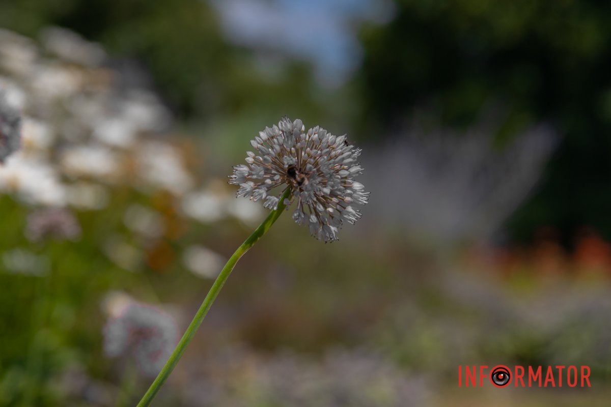 Головне – вміти побачити красу